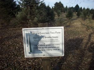 rp sign